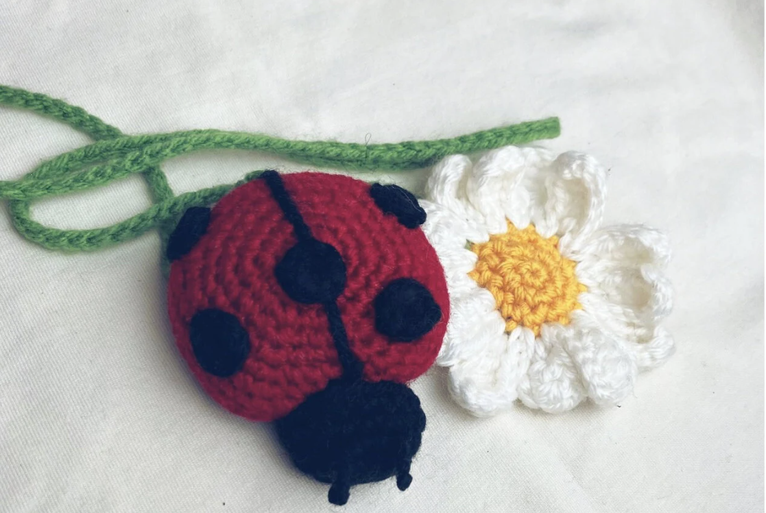 Crochet Lady Bug and Daisy Flower